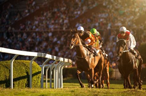 Bet on Live Horse Races .